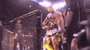 Mixed Martial Arts Sport GIF by UFC