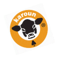 karoundairies food cheese yogurt armenian Sticker