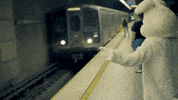 Music Video Rabbit GIF by The Dollyrots