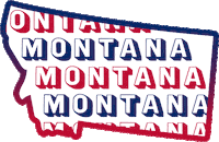 United States Usa Sticker