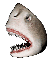 Sea Life 3D Sticker by MANGOTEETH