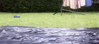 Fat Guy Deal With It GIF by BioSteel Sports