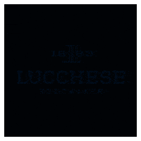 Made In Texas GIF by Lucchese Bootmaker