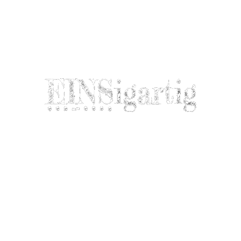 EINSigartig giphygifmaker jump freude webdesign Sticker