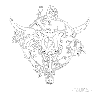 Grateful Dead Signs Sticker by Rhino Records