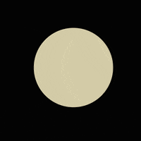 Siqera apple mango perry cider GIF