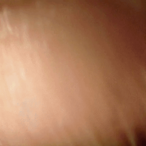 bwwings beer eye thirsty iris GIF