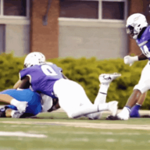 Football Defense GIF by JMUDukes