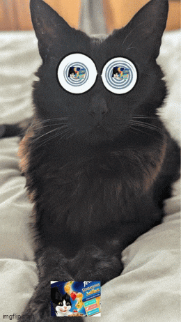 FarkersFarkers giphyupload GIF