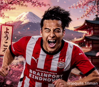 Japan Tequila GIF