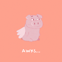 Awkward Flying Pig GIF by PositivelyPigasus