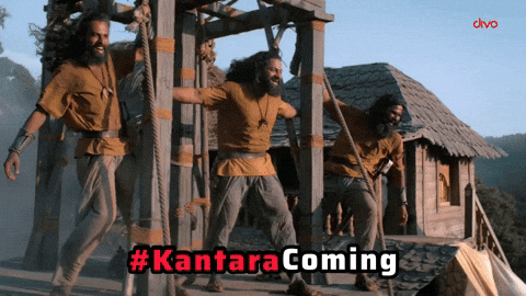 Music Label GIF by Divo Music