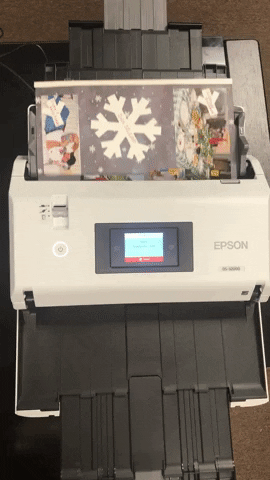 troylippert giphygifmaker GIF