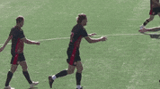 Stevenage_FC  GIF