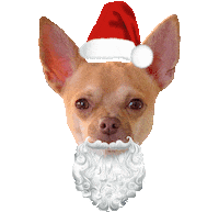 Merry Christmas Dog Sticker