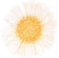 Mothers Day Flower Sticker by CSDSocialMedia