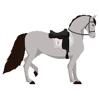 ClubHipicoCaliente tijuana caliente clasico equitacion Sticker