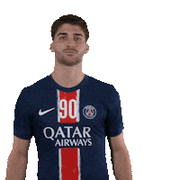 Sport Leo Sticker by Paris Saint-Germain Handball