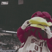 Talking College Basketball GIF by NCAA March Madness