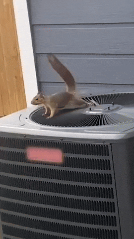 NeverFreakinMind giphyupload GIF