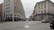 GIF by ZI Italy