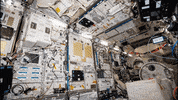europeanspaceagency astronaut esa beyond iss GIF