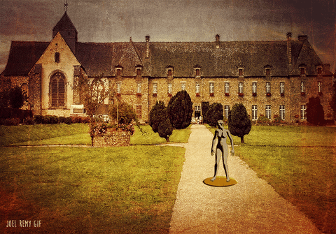 Castle Pirouette GIF by joelremygif