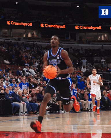 Blue Devils Dukembb GIF by Duke Men's Basketball
