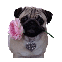 aaaaa STICKER by imoji