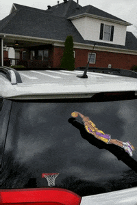 wipertags goat vehicle kobe kobe bryant GIF
