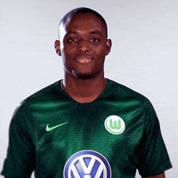 think france GIF by VfL Wolfsburg