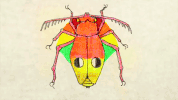 chadvangaalen animation music video chad vangaalen shabazz palaces GIF