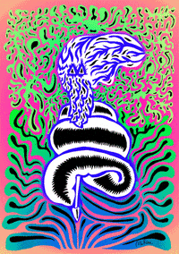 Colour GIF by Miron