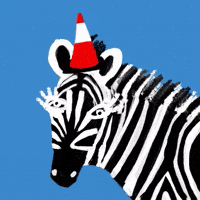 Zebra Witches Hat GIF by Barbara Pozzi