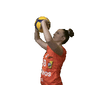 Setting Setter Sticker by NUCVolleyball