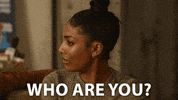 Who Are You Hello GIF by NETFLIX
