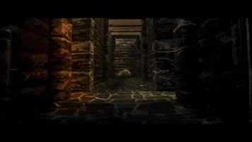 Baldurs Gate Dnd GIF by Dungeons & Dragons