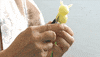 candy culture GIF by Digg
