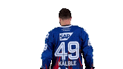 Eishockey Sticker by Adler Mannheim