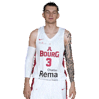 Sport Basketball Sticker by JL Bourg