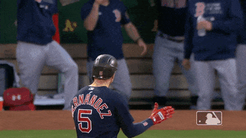Regular Season Sport GIF by MLB