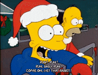 Season 1 GIF by The Simpsons