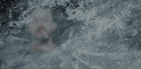 del GIF by Kölner Haie