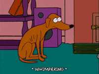 homer simpson GIF