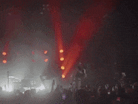 Tucker GIF by ROLE MODEL