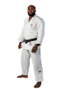 Sport Champion Sticker by FPJudo