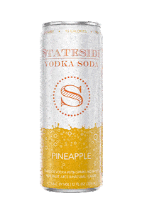 Seltzer Surfside Sticker by statesidevodka