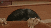 indian tv GIF by bypriyashah