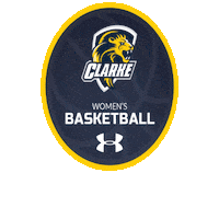 Heart Basketball Sticker by Clarke University