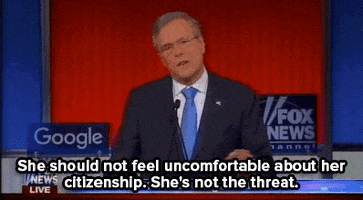 jeb bush news GIF